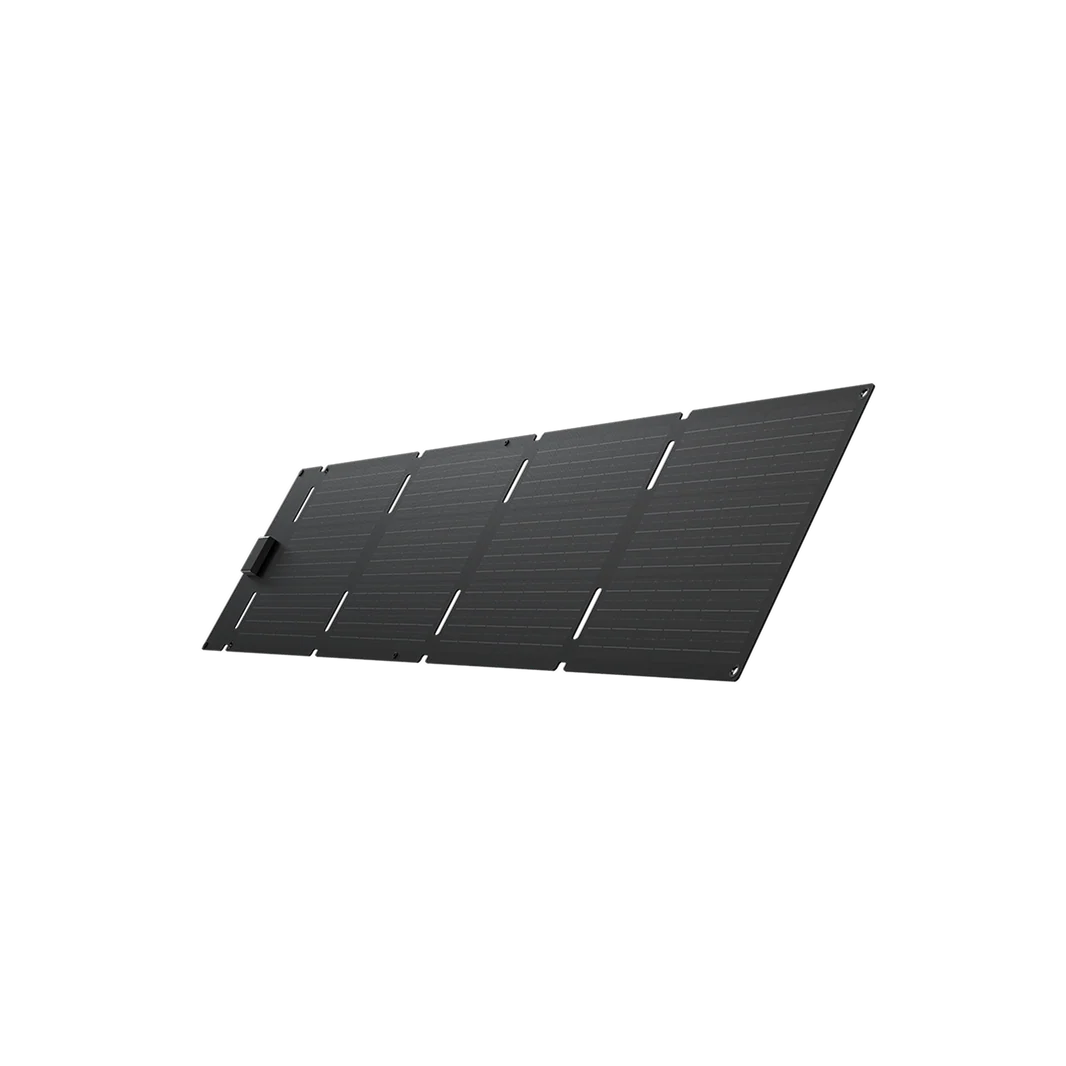 EcoFlow 60W Portable Solar Panel