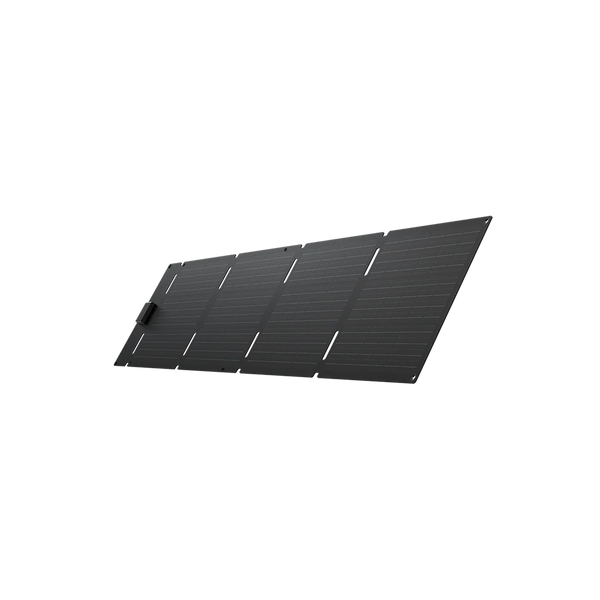 EcoFlow 60W Portable Solar Panel