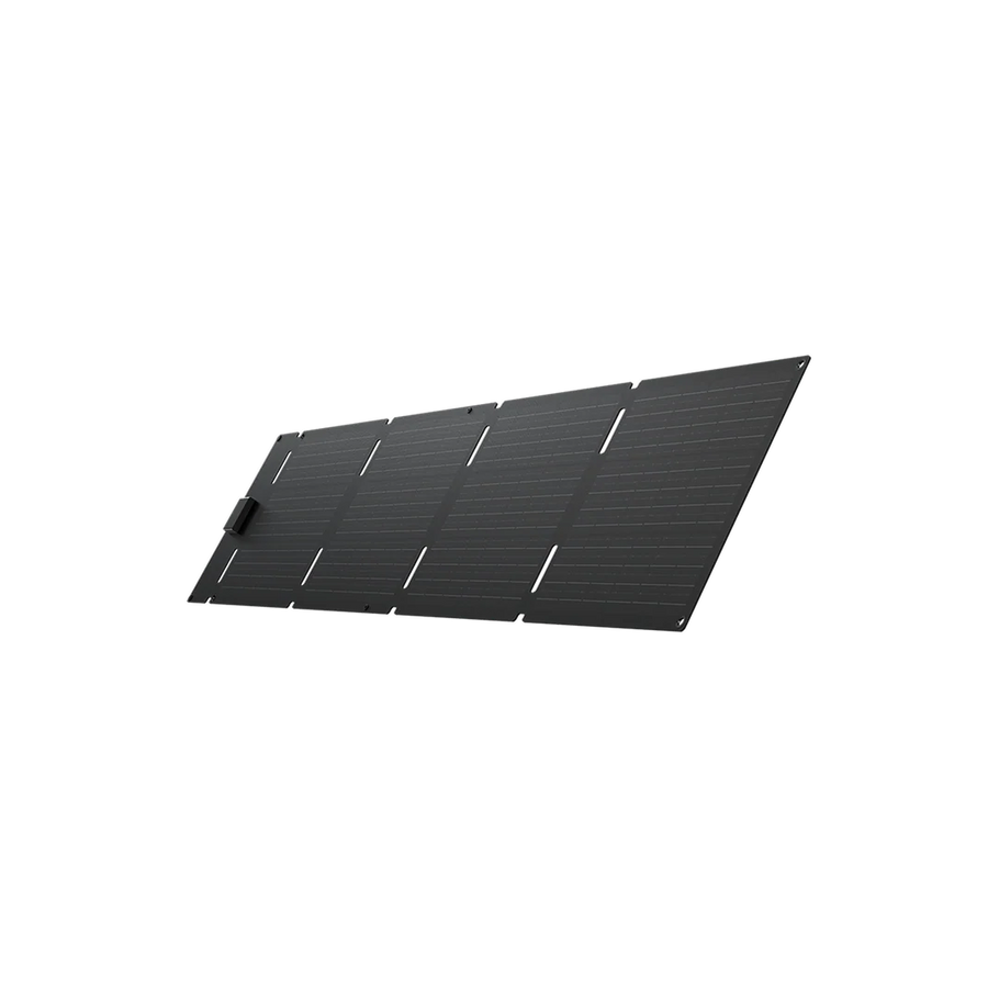 EcoFlow 60W Portable Solar Panel