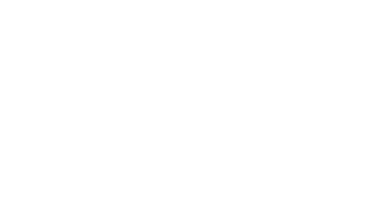 German Design Award winner mark