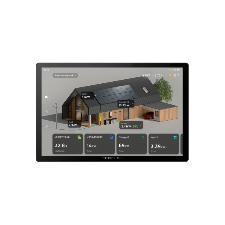 Close-up of the energy-flow screen on PowerInsight 2